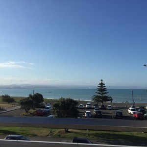 Meredith Kessler driving to Napier New Zealand